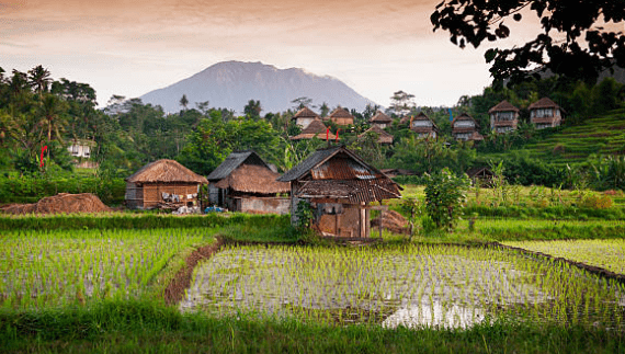 A Smiling Idiot in an Indonesian Village